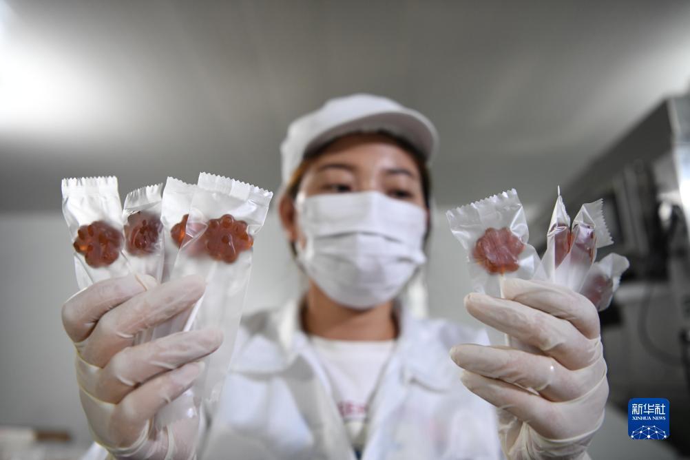 巴黎人十大官方